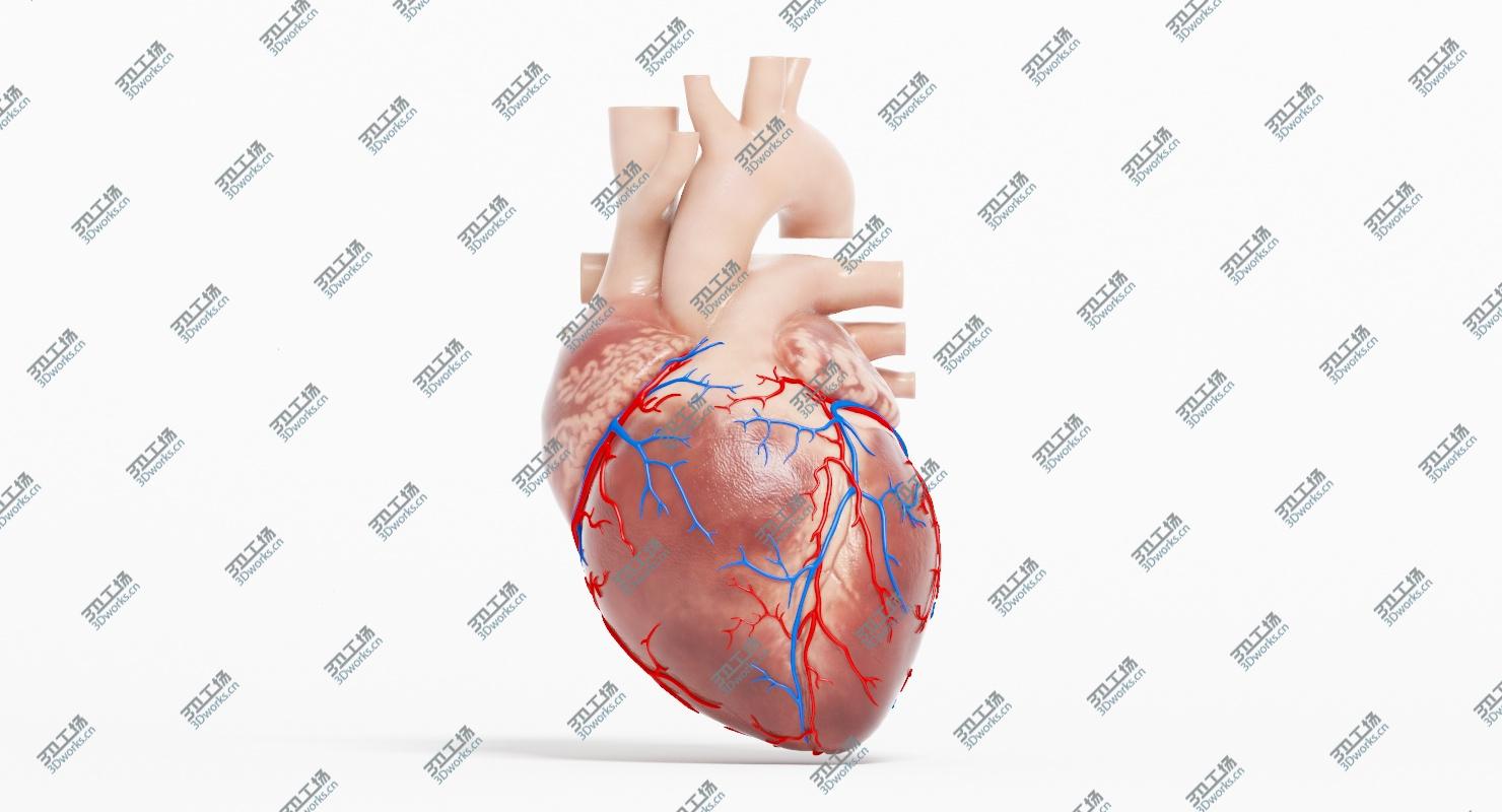 images/goods_img/20210113/3D Human Heart Animated (Pro Version)/3.jpg